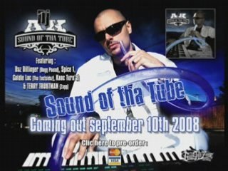 Dj AK FEAT TERRY TROUTMAN-WHAT WOULD IT BE (TALKBOX TRIBUTE)