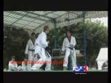 Démo de Taekowndo/Hapkido du Cénacle Rémi Mollet