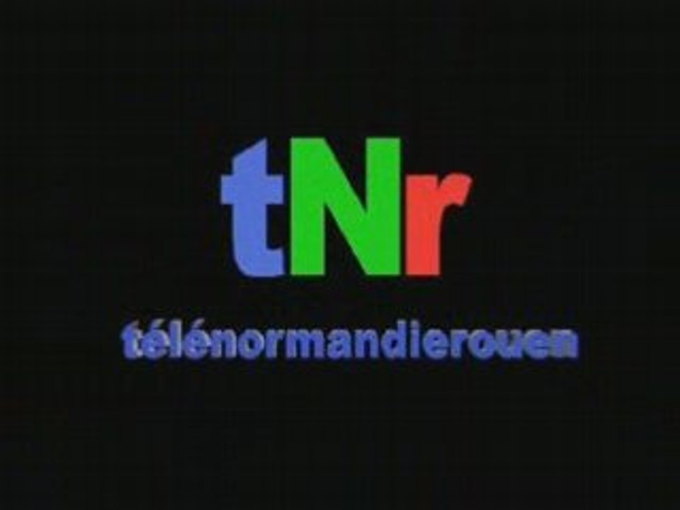 Pont Gustave Flaubert à Rouen