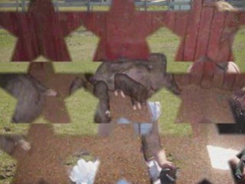 Country Attitude Roucas 2007