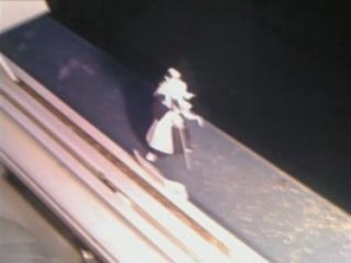 Byakuya no Bankai Forever