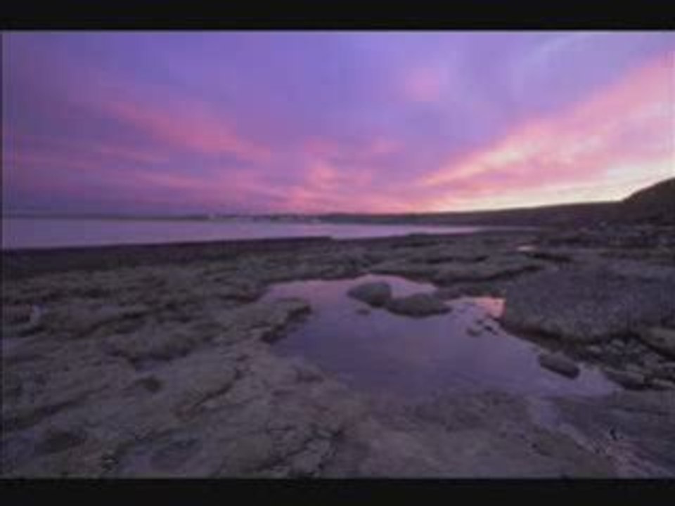 Thomas Newman - True Art Of Music