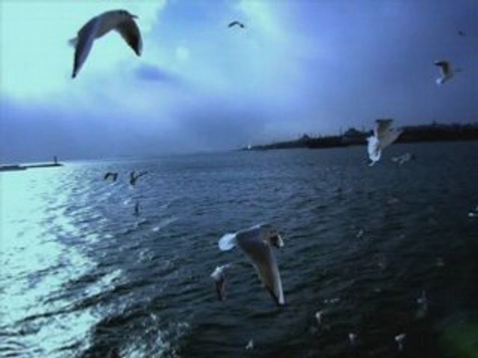 Ayna - Arkadas