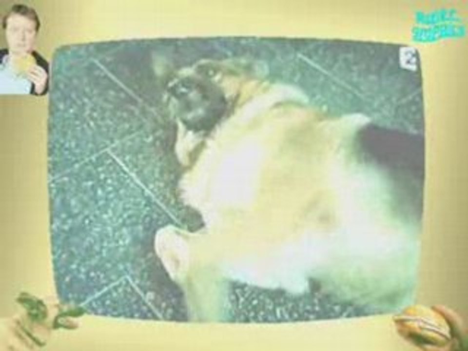 Commissaire Rex&Suppo-Zäpfchen