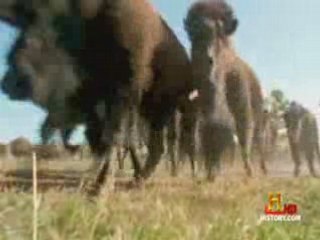 Jurrasic Fight Club 1x09 -  Download any Episode & Season!