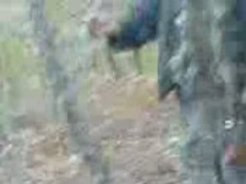 Erdek te vurduğum ırı erkek