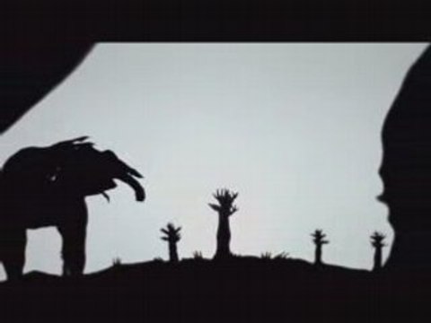 Pilobolus ombre et lumiere 2