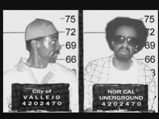 MAC DRE - 3C ROMP (PROD KLOU)