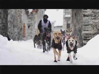 Grande Odyssée 2009 Bande Promo HD