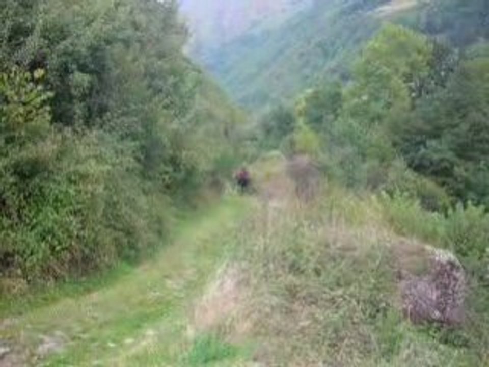 après le galop