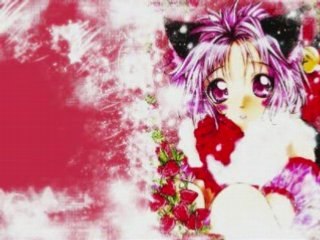 Neko girls