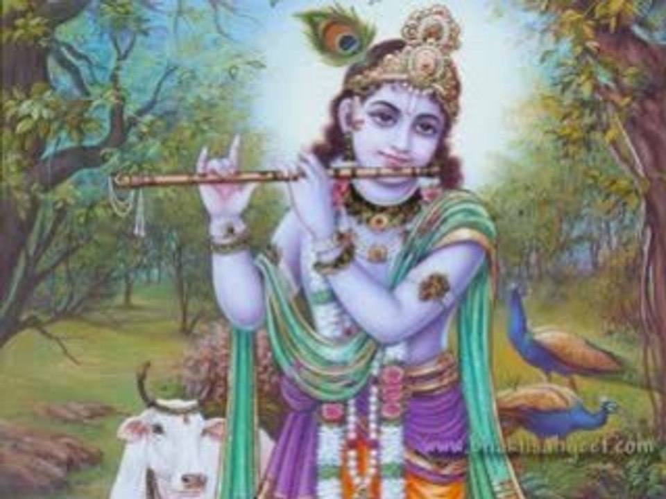 LEY DE ATRACCION, EL SECRETO - GRATITUD