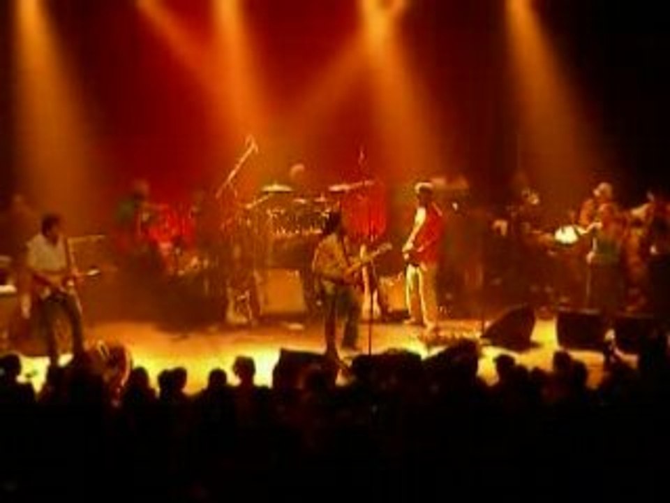 Ziggy Marley - Let Jah Will Be Done (Live in Paris 2006)