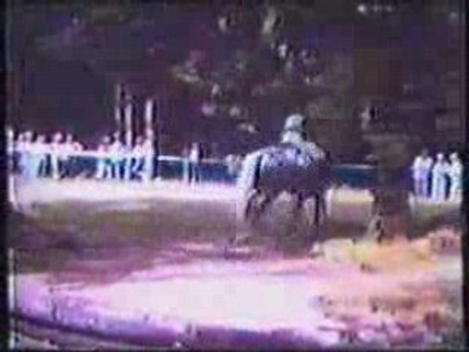 accident de cheval