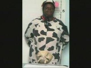 This Is Genius: MonkeyMan, CowWoman and scary Japanese girls