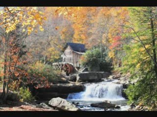 Fall and Autumun Trees Foliage #2