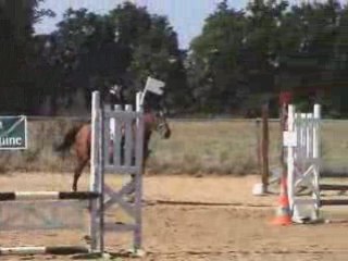 fino et alex cso clu2b3