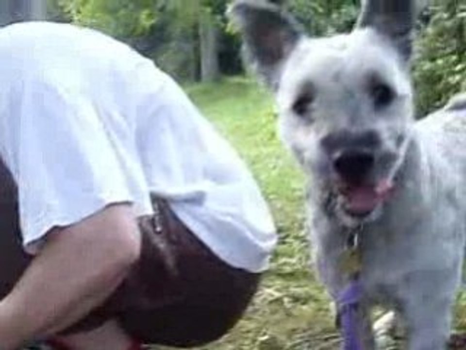 Dakota Août 2008