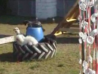 un down très spécial