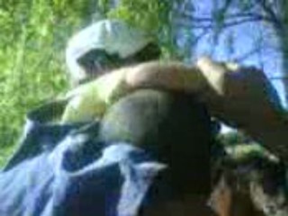 MOV00938
