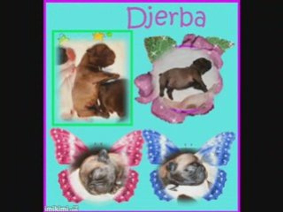 Vidéo-baby's boulis bountymontage