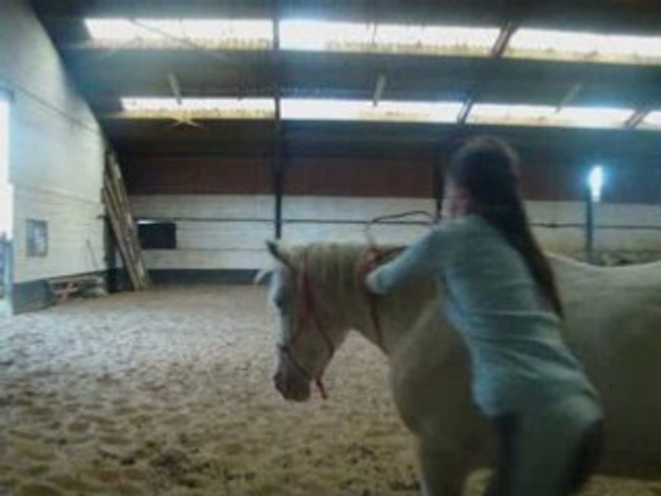 Travail avec sibelle partie II