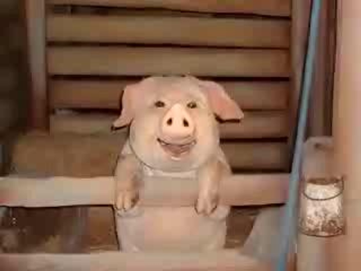 Country music yihaaa!