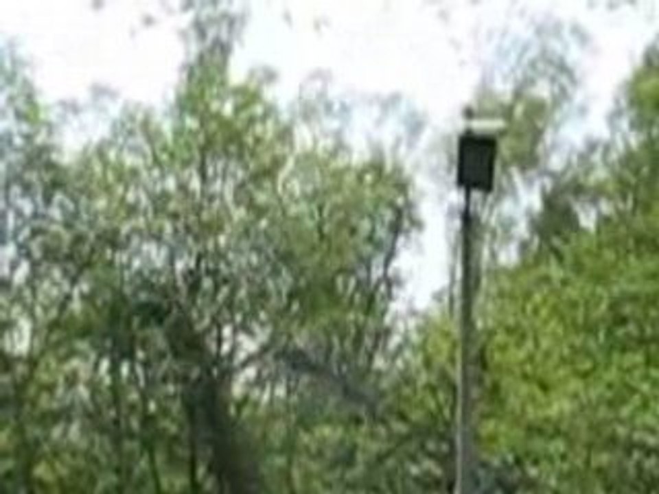 Blockhaus d 'Eperlecques