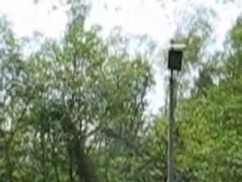 Blockhaus d 'Eperlecques