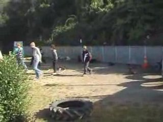 une leçon de dressage canin le 29/09/2008