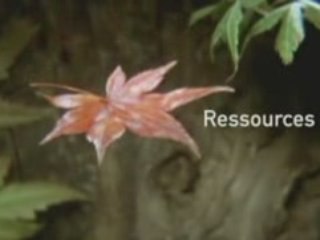 pub Suez Environnement 2008