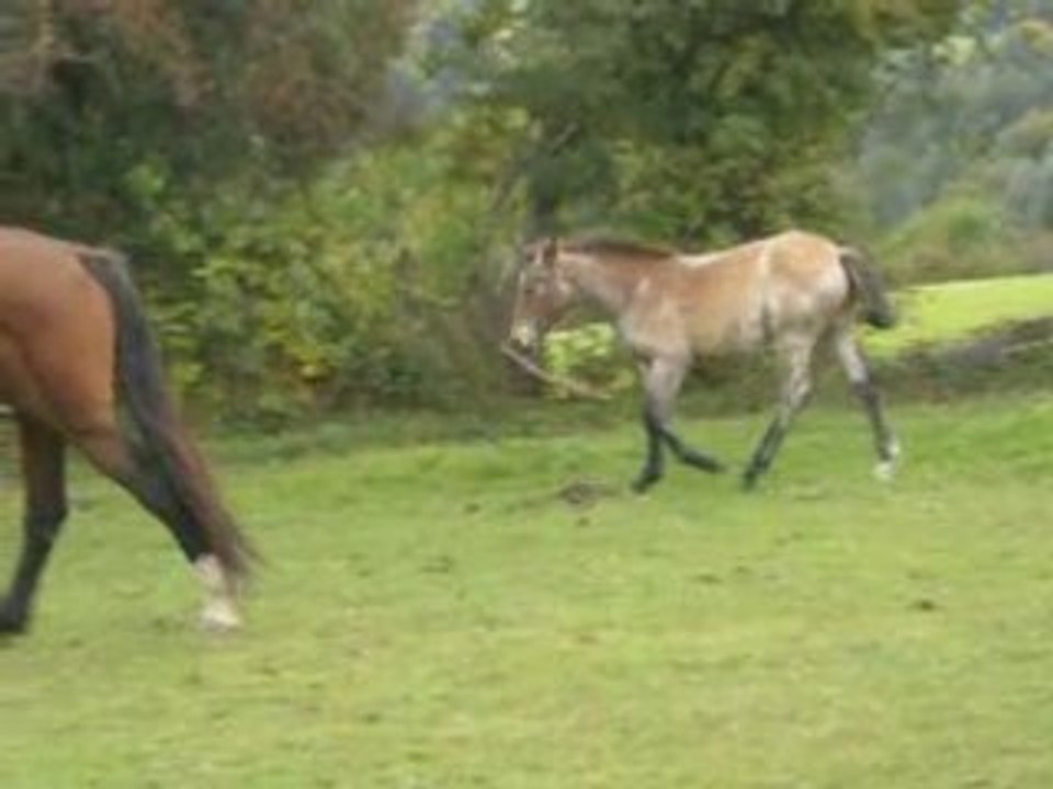 3octobre 2008 012