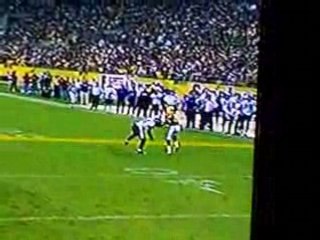 Hines Ward Cheating... Once again.