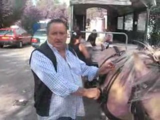 Seple à cheval et en roulotte