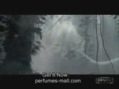 Calvin Klein fragrances