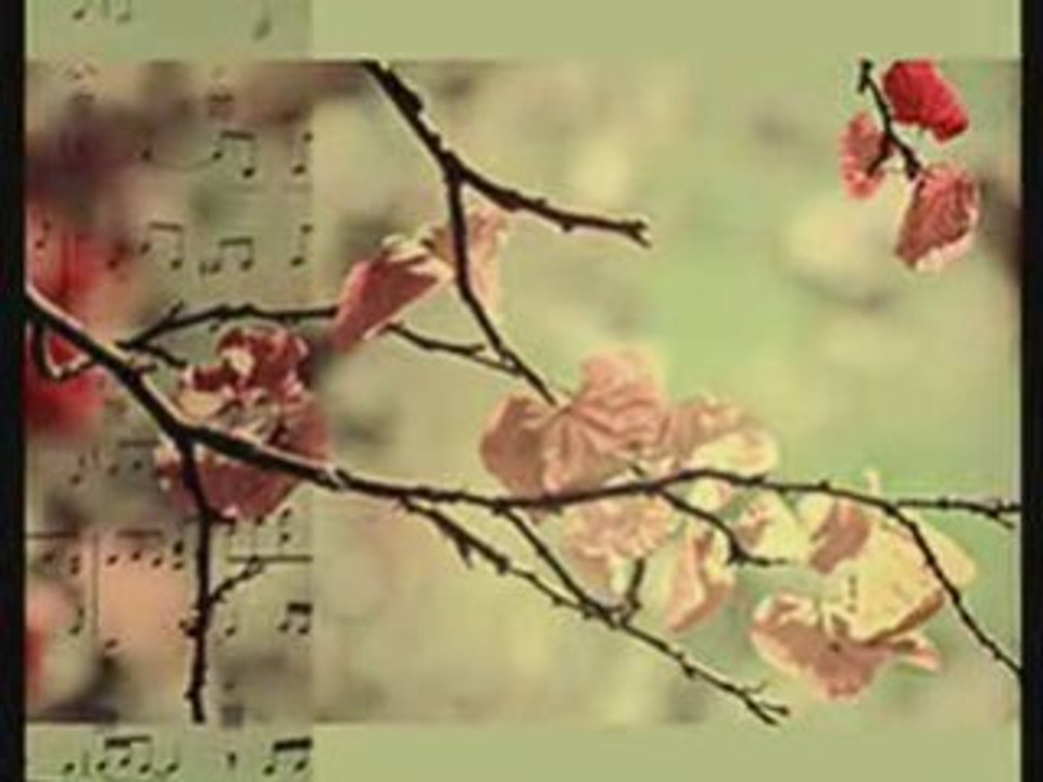 Μίκης Θεοδωράκης