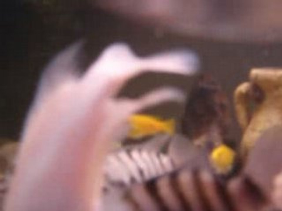 Regis test son appareil photo numerique dans son aquarium