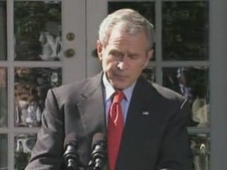 George W Bush praises lawmakers for passing bail-out bill