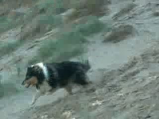 Oye plage umi arwenn robin  descende de dune 2