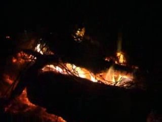 pti feu dans le champs