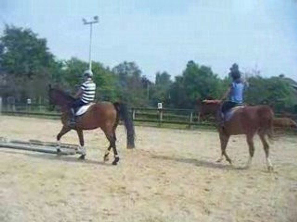 Dressage ...