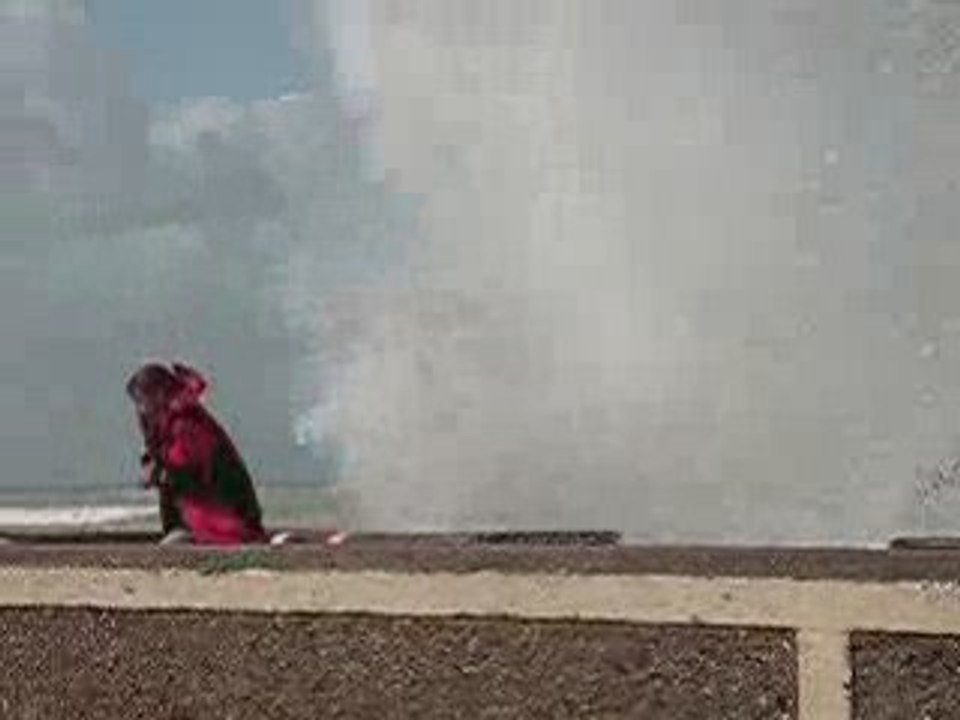 Vaguemarie