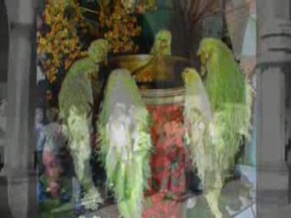 Les uns contre les autres luc Plamondon