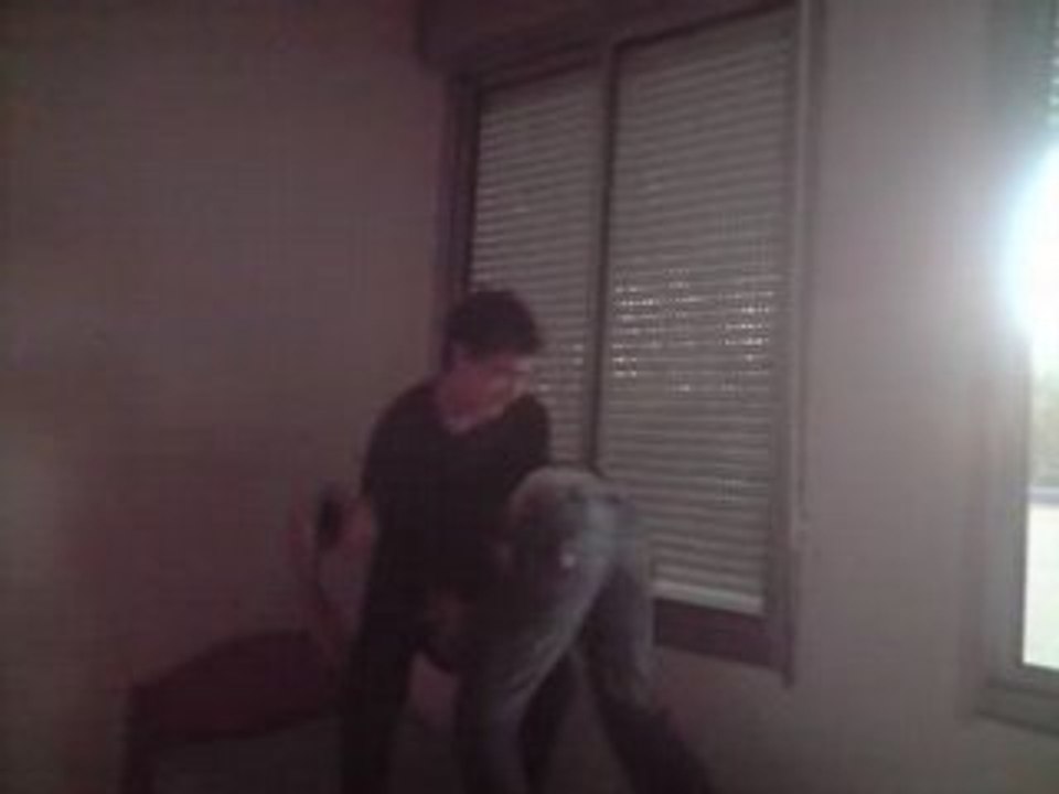 pedigree