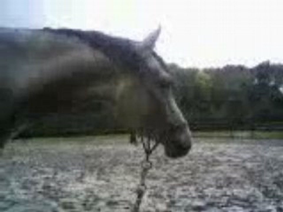 Vidéo-0002 (2)