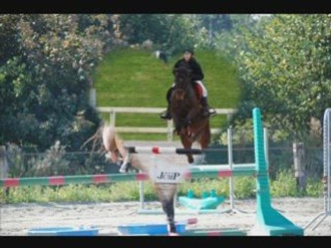 oscaret moi deux ans déja saut d'obstacle