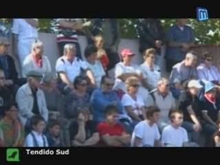 Tauromachie : Graines de Toréro
