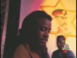 Half pint live