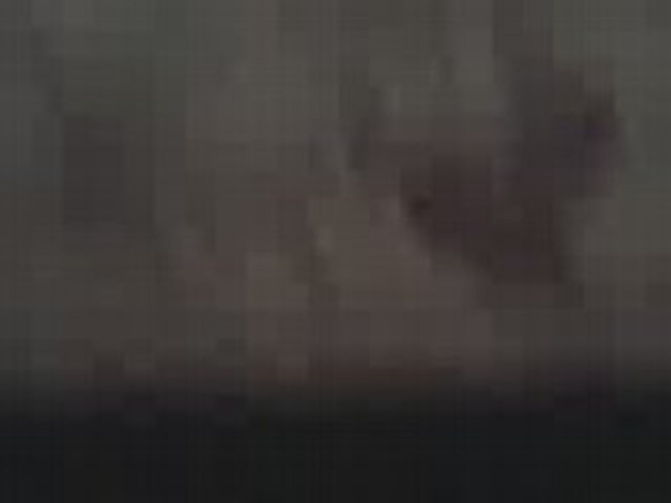 SV_A0213