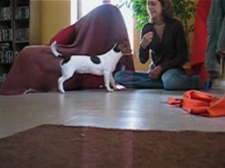 Daïa apprend la "roulade"